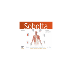 Pausen - Sobotta Tablas de...